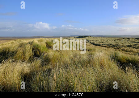 Holme-next-il-mare del Nord di Norfolk, Inghilterra Foto Stock