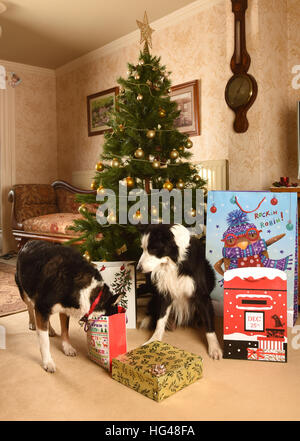 Cani a guardia i regali di Natale sotto l'albero di Natale Foto Stock