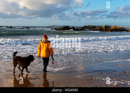 Donna in cappotto giallo walking cane nero lungo la riva della spiaggia sixpenny, Porth Nobla, Llanfaelog, Anglesey, Galles del Nord Foto Stock