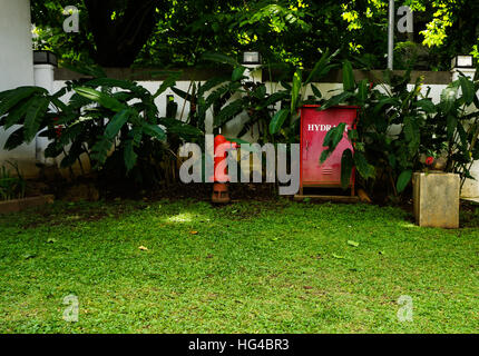 Un idrante rosso scatola in mezzo al verde giardino erboso foto scattata a Semarang Indonesia Foto Stock