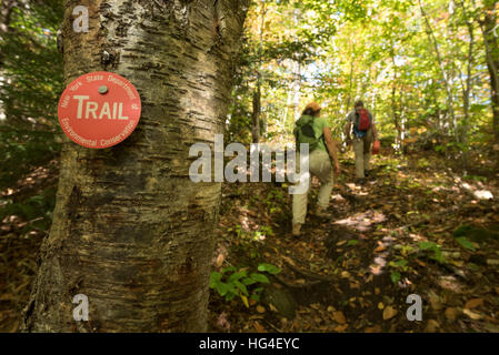 Gli escursionisti e segnavia sul laghetto lungo il sentiero di montagna nel St. Regis Canoe Area di Adirondack State Park, New York. Foto Stock