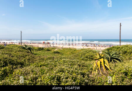 Duna Verde vegetazione passerella di sabbia e molte persone sconosciute sulla spiaggia contro blu oceano skyline di Durban, di modo Foto Stock