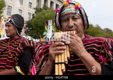 Boliviano flauto di pan giocatore al festival Latino - Washington DC, Stati Uniti d'America Foto Stock