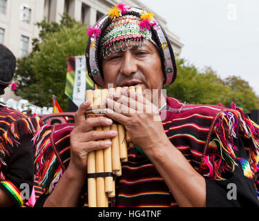 Boliviano flauto di pan giocatore al festival Latino - Washington DC, Stati Uniti d'America Foto Stock