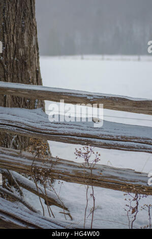 Sfondo invernale di uno split rail recinzione cedro con una spolverata di neve e il tronco di albero vicino. Foto Stock