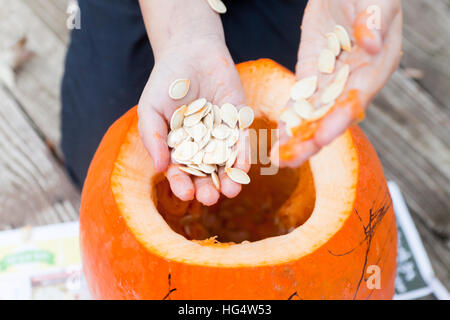 Bambino rimuovendo i semi di una zucca - USA Foto Stock