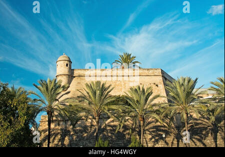 Alberi di palma e la torre del palazzo che ospita Es Baluard il Museo di Arte Moderna di Palma de Mallorca, Spagna. Foto Stock