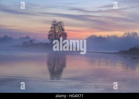 Sunrise, American River, Sacramento, California Foto Stock