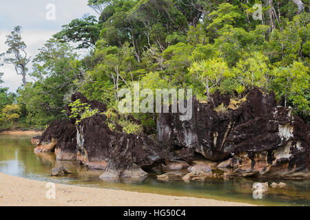 Bellissima natura pura paesaggio, Parco Nazionale Masoala, davanti rock e nel retro rainforrest, Madagascar pittoresca natura selvaggia scena. Foto Stock
