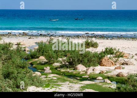 Arher (isola di Socotra) - 15 Gennaio 2008: flusso di acqua dolce che sfocia nel mare a Arher beach sull'isola di Socotra, Yemen Foto Stock