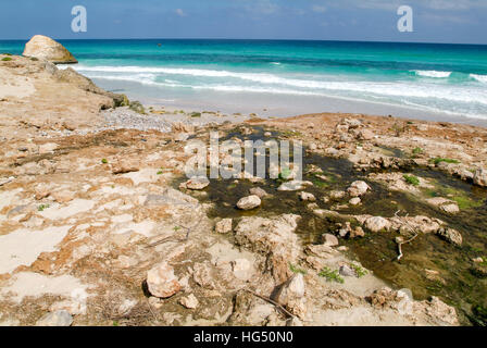 Arher (isola di Socotra) - 15 Gennaio 2008: flusso di acqua dolce che sfocia nel mare a Arher beach sull'isola di Socotra, Yemen Foto Stock