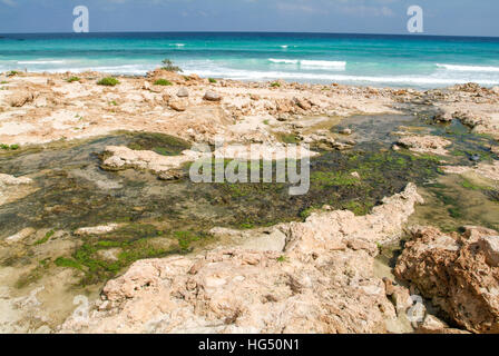 Arher (isola di Socotra) - 15 Gennaio 2008: flusso di acqua dolce che sfocia nel mare a Arher beach sull'isola di Socotra, Yemen Foto Stock