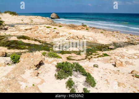 Arher (isola di Socotra) - 15 Gennaio 2008: flusso di acqua dolce che sfocia nel mare a Arher beach sull'isola di Socotra, Yemen Foto Stock