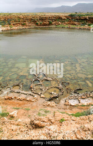 Miniere di sale sulla isola di Socotra nello Yemen Foto Stock