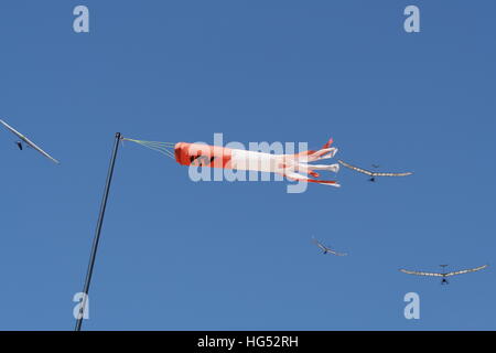 Hnag alianti e un vento calza contro il cielo blu Foto Stock