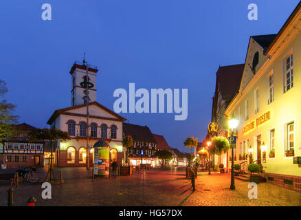 Seligenstadt: Municipio presso la piazza del mercato, , Hessen, Hesse, Germania Foto Stock