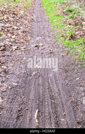 Tracce di pneumatici nel fango Foto Stock