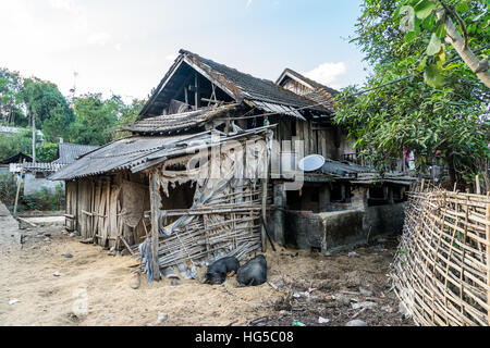 Farm asiatica capanna, lai chau, Vietnam. semplice di legno casa vivente in una coltivazione del riso villaggio. suini dormire su di lolla di riso nella parte anteriore del Foto Stock