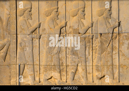 Rilievo scolpite della Royal Guard persiano, Palazzo Apadana, Persepolis, UNESCO, Iran, Medio Oriente Foto Stock