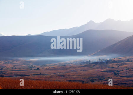 Early Morning mist, Tsaranoro Valley, Ambalavao, zona centrale Foto Stock