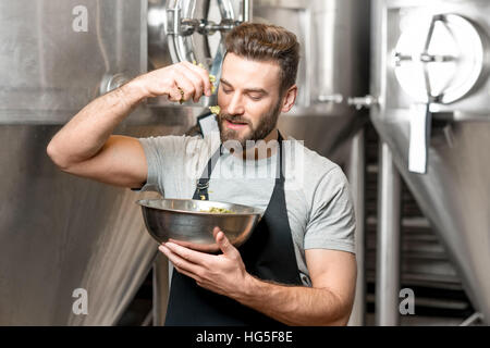 Il birraio alla fabbricazione della birra Foto Stock