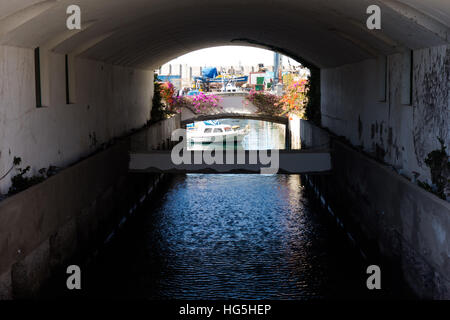 Tipica architettura di porpora fiori di bouganville in Puerto de Mogan, un piccolo porto di pesca in Gran Canaria. Foto Stock