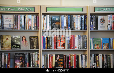 Linee di libri su un ripiano della libreria. Foto Stock