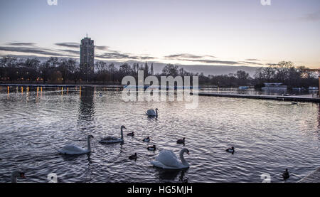 Il lago a serpentina hyde park di notte LONDON REGNO UNITO Foto Stock