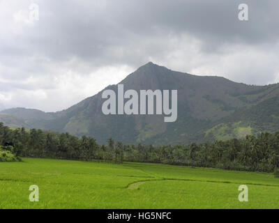 Paesaggio. Nelliyampathy Hill, Palakkad Kerala, India Foto Stock