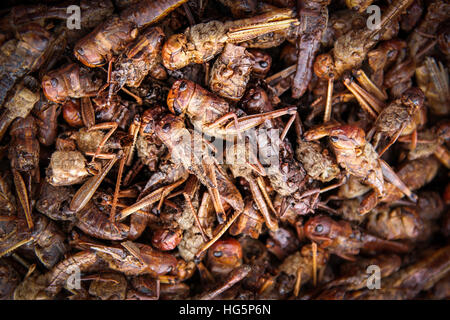 Cavallette fritte in vendita sul villaggio africano mercato in Madagascar Foto Stock