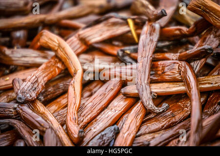 Close up di baccelli di vaniglia essiccazione su sun Foto Stock