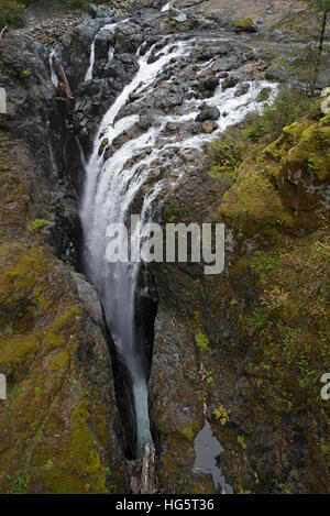 Inglese River Falls Provincial Park è un popolare parco turistico a circa 10 km a monte da Parksville. SCO 11,354. Foto Stock