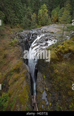 Inglese River Falls Provincial Park è un popolare parco turistico a circa 10 km a monte da Parksville. SCO 11,355. Foto Stock