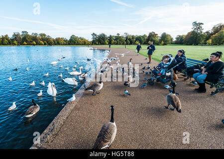 London, Regno Unito - 17 Ottobre 2016: Le persone sono uccelli di alimentazione in Kensington Gardens al di fuori di Kensington Palace a Londra in Inghilterra Foto Stock