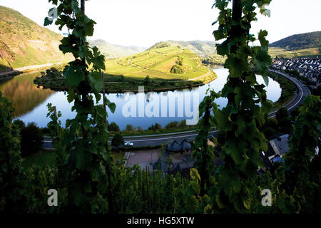 Ansa del fiume Moselle, meandri vicino Bremm, Renania-Palatinato Foto Stock