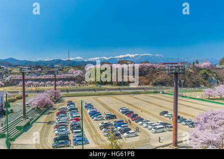 Rosa fiori di ciliegio in piena fioritura in ina Città della Prefettura di Nagano Foto Stock