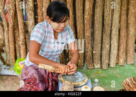 Non identificato donna birmano la preparazione di tanaka, il tradizionale faccia naturale polvere del Myanmar Foto Stock