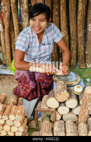 Non identificato donna birmano la preparazione di tanaka, il tradizionale faccia naturale polvere del Myanmar Foto Stock