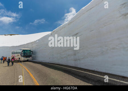 Tateyama, Giappone - 2 Maggio 2014: i turisti non identificato a piedi lungo il corridoio di neve sul Tateyama Kurobe Route Alpino, Giapponese Alp in Tateyama, Giappone Foto Stock