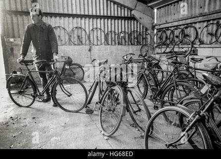 Tom Bissett in un granaio sul suo padre's Farm, dove avevano recentemente scoperti ventidue pre-guerra di biciclette in perfette condizioni Foto Stock