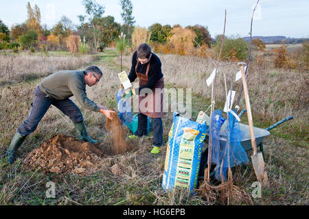 Un paio di giardinieri è la piantagione di alberi da frutto in autunno Foto Stock