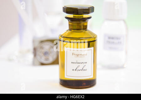 Francia, Alpes-Maritimes, Grasse, parfumerie Fragonard, dans l'usine historique, atelier olfactif de l'apprenti Parfumeur, ici création à partir du mimosa // Francia, Alpes-Maritimes, Grasse, profumeria Fragonard nella storica fabbrica, workshop olfattiva del profumiere apprendista, creando da La mimosa Foto Stock