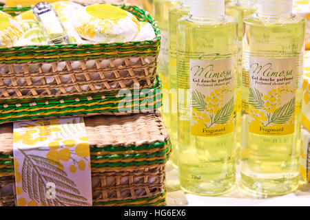 Profumeria Fragonard nella storica fabbrica, prodotti realizzati ​​of Mimosa (Acacia) (bargigli), Grasse, Francia Foto Stock