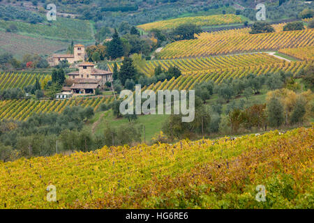 I vigneti e le ville sul fianco di una collina al di sotto di Panzano in Chianti, Toscana, Italia Foto Stock