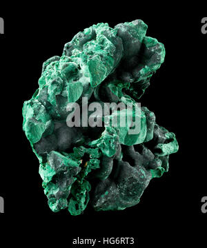 Raw, intonso malachite (Cu2CO3(OH)2) isolato su sfondo nero Foto Stock