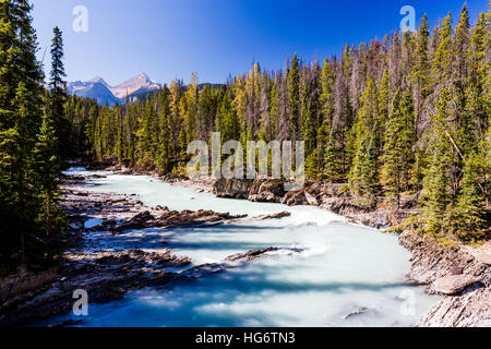 Il Fiume Kicking Horse è un fiume situato nelle Montagne Rocciose Canadesi del sud est della British Columbia, Canada. Il fiume è stato nominato nel 1858, quando James H Foto Stock