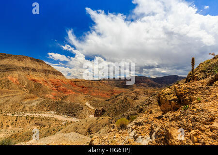 Paesaggio con alberi di Joshua a Joshua Tree Road nel deserto di Mojave vicino a Scenic Backway. Foto Stock