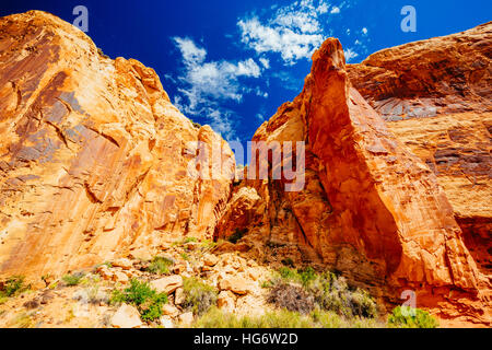 Grand Wash è un famoso gorge che taglia il suo modo attraverso la porzione superiore del Waterpocket Fold nel Parco nazionale di Capitol Reef. Foto Stock