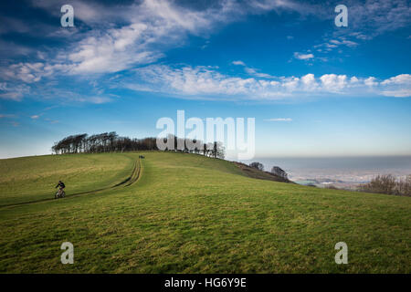 Anello Chanctonbury Età del Ferro hill fort sulla South Downs vicino a Worthing, West Sussex, Regno Unito Foto Stock