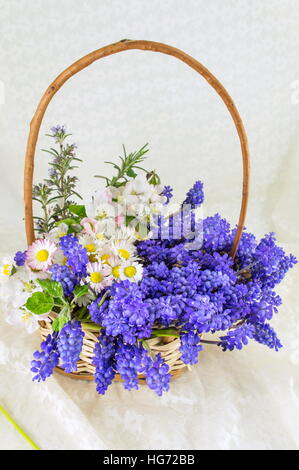 Bluebell bouquet di fiori in un cesto di vimini Foto Stock